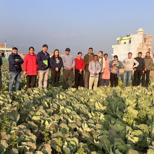Skill up, CEAPRED and WHH team visiting the project site  at Birendrangar 2, Surkhet