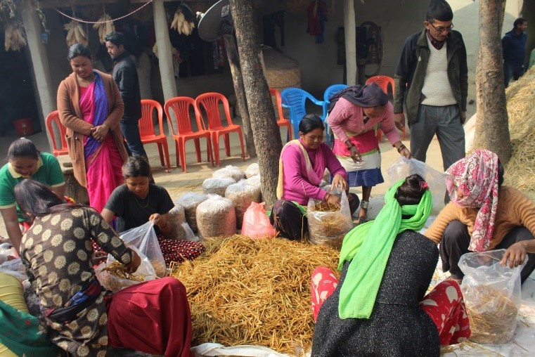 mushroom cultivation training