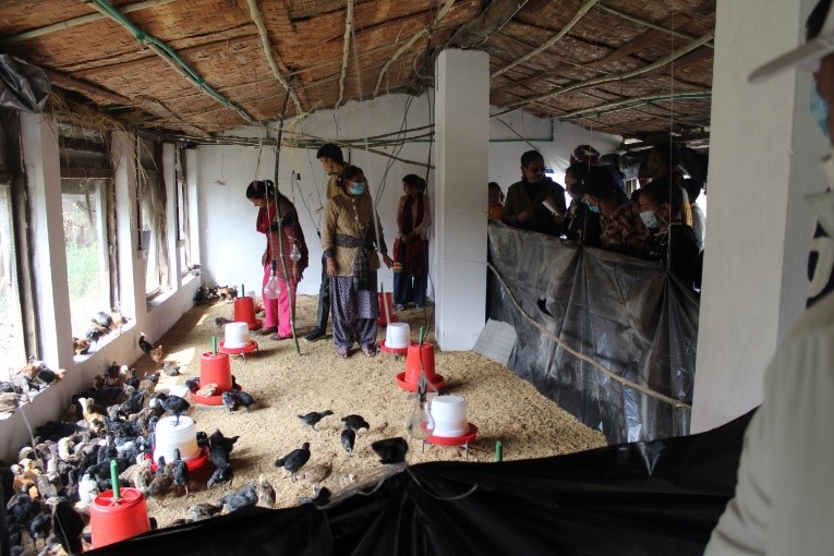 poultry production training