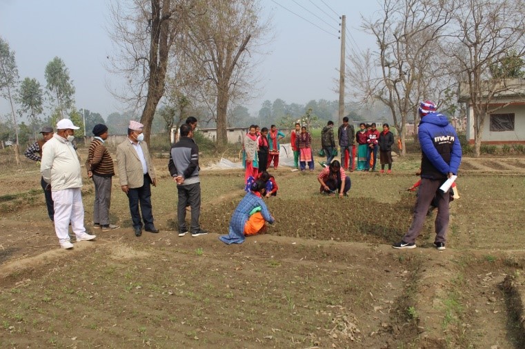 vegetable production training