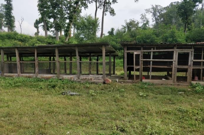 Poultry and rabbit shed