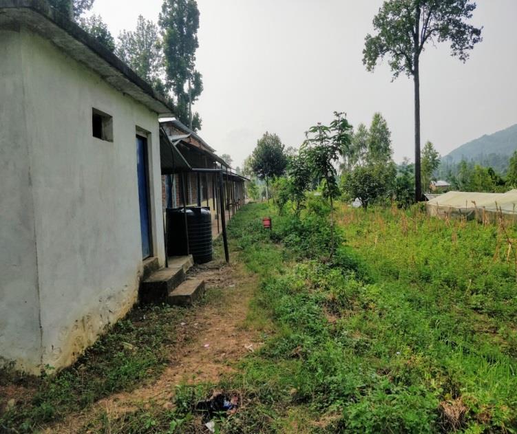 Practical fields and green house