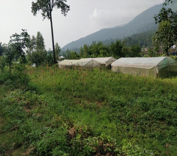 School grounds